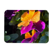 Magnet Flexible Pensée orange et violet (Horizontal)