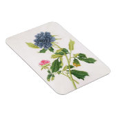 Magnet Flexible Peony (Côté Droit)