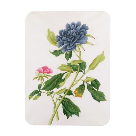 Magnet Flexible Peony (Vertical)