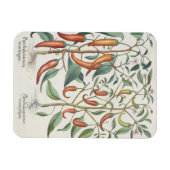 Magnet Flexible Peppers: 1.Piper Indicum maximum longum; 2.Piper I (Horizontal)