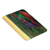 Magnet flexible Perelandra (Côté Droit)