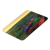 Magnet flexible Perelandra (Côté Gauche)