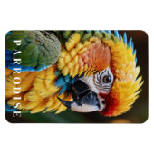 Magnet Flexible Perroquet (Horizontal)