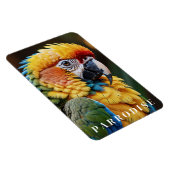 Magnet Flexible Perroquet (Côté Droit)