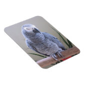 Magnet Flexible Perroquet gris d'Afrique (Côté Droit)