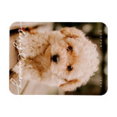 Magnet Flexible Pet Memorial Love Memory Simple Photo moderne (Horizontal)
