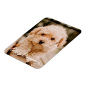 Magnet Flexible Pet Memorial Love Memory Simple Photo moderne (Côté Gauche)
