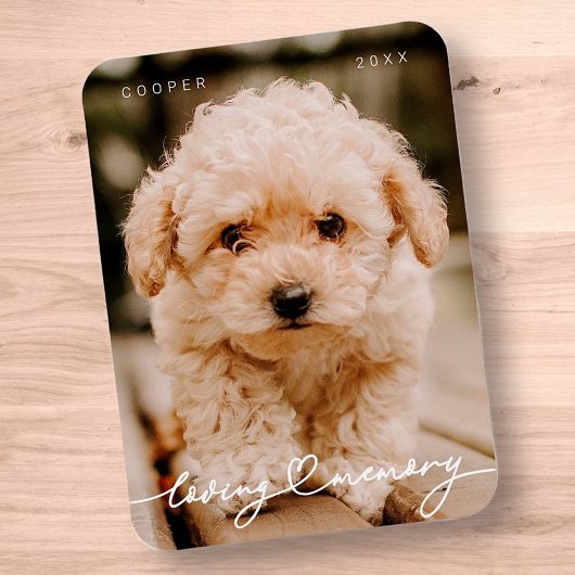 Magnet Flexible Pet Memorial Love Memory Simple Photo moderne