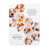 Magnet Flexible Pet Memorial Modern Simple 10 Photo Collage Card (Vertical)