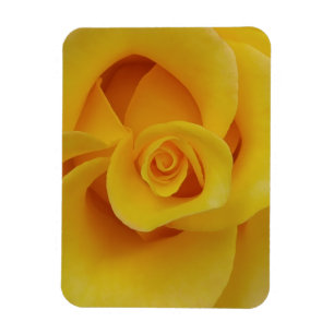 Magnet Flexible Pétales de rose jaune romantiques