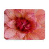 Magnet Flexible pétales roses (Horizontal)