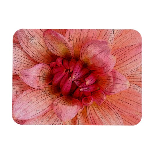 Magnet Flexible pétales roses (Horizontal)