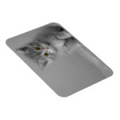 Magnet Flexible Petit chaton doux (Côté Droit)