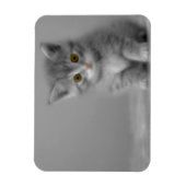 Magnet Flexible Petit chaton doux (Vertical)