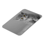 Magnet Flexible Petit chaton doux (Côté Gauche)