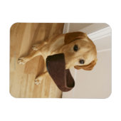 Magnet Flexible Petit chiot de récupération Labrador avec glisseur (Horizontal)