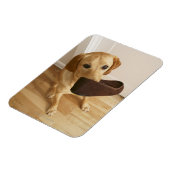 Magnet Flexible Petit chiot de récupération Labrador avec glisseur (Côté Gauche)
