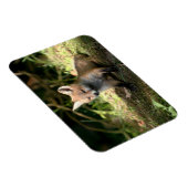 Magnet Flexible Petit Cub (Côté Droit)