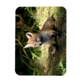 Magnet Flexible Petit Cub (Vertical)