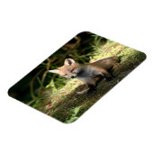 Magnet Flexible Petit Cub (Côté Gauche)