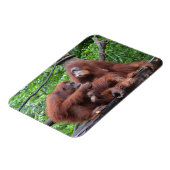 Magnet Flexible Petit déjeuner avec le zoo de Singapour Orangutans (Côté Gauche)