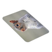 Magnet Flexible Petit écureuil gris doux et souple (Côté Droit)