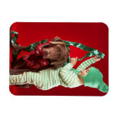 Magnet Flexible Petit garçon décorant un chien (Horizontal)