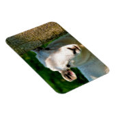 MAGNET FLEXIBLE PETIT MOQUETTE (Côté Droit)