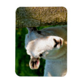 MAGNET FLEXIBLE PETIT MOQUETTE (Vertical)