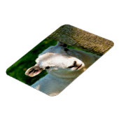 MAGNET FLEXIBLE PETIT MOQUETTE (Côté Gauche)