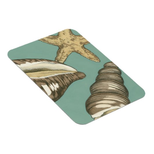 Magnet Flexible Petit trio Shell Turquoise (Côté Droit)