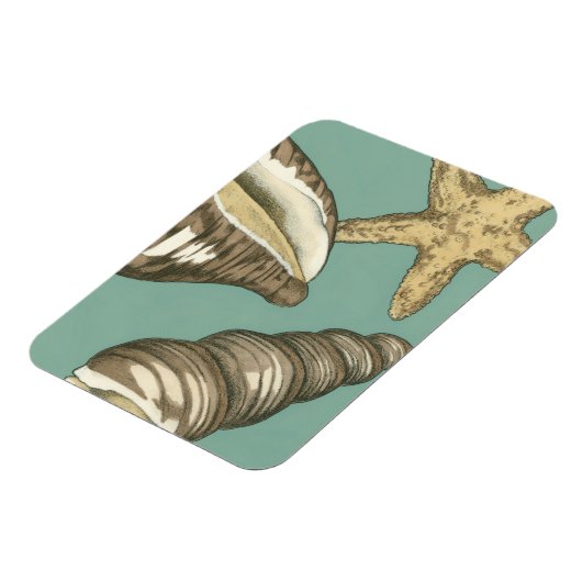 Magnet Flexible Petit trio Shell Turquoise (Côté Gauche)