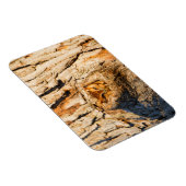 Magnet Flexible Petite chouette des terriers orientale (Côté Droit)