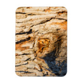 Magnet Flexible Petite chouette des terriers orientale (Vertical)