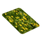Magnet Flexible Petites fleurs jaunes dans l'herbe1957 FLEURS NATU (Côté Droit)