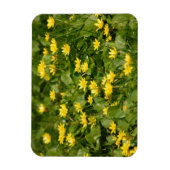 Magnet Flexible Petites fleurs jaunes dans l'herbe1957 FLEURS NATU (Vertical)