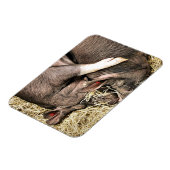 MAGNET FLEXIBLE PETITS PIÈCES FRAÎCHES (Côté Gauche)