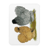 Magnet Flexible Petits poulets (Vertical)