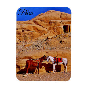Magnet Flexible Petra