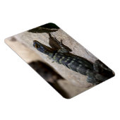 Magnet Flexible Petrosaurus thalassinus (Côté Droit)