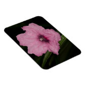 Magnet Flexible Pétunia mexicain rose (Ruellia Brittoniana ou (Côté Droit)