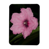 Magnet Flexible Pétunia mexicain rose (Ruellia Brittoniana ou (Vertical)