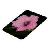 Magnet Flexible Pétunia mexicain rose (Ruellia Brittoniana ou (Côté Gauche)
