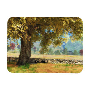 Magnet Flexible Phantastes : Sous l'aimant flexible de l'hêtre