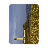 Magnet Flexible Phare de Pigeon Point State Beach à San (Vertical)
