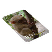 Magnet Flexible Philippine Tarsier de Bohol (Côté Droit)