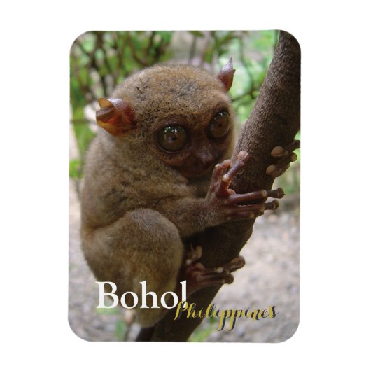 Magnet Flexible Philippine Tarsier de Bohol (Vertical)