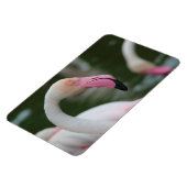 Magnet Flexible Phoenicopterus roseus (Côté Gauche)