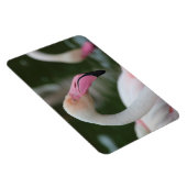 Magnet Flexible Phoenicopterus roseus (Côté Droit)