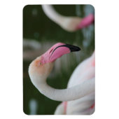 Magnet Flexible Phoenicopterus roseus (Vertical)